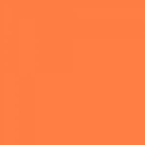 Orange Begonia