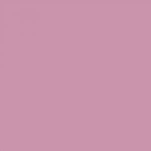 Himalayan Lavender