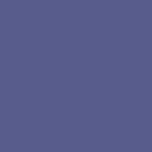 Desert Petunia
