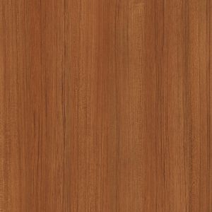 Sumatra Teak