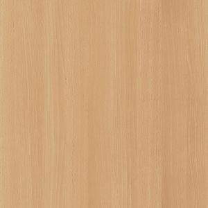 Sitka Beech