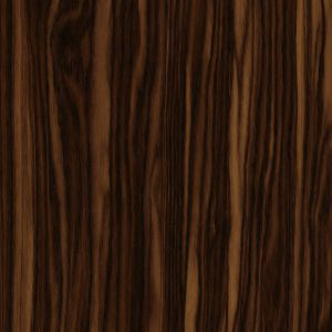 Toliara Ebony Tree