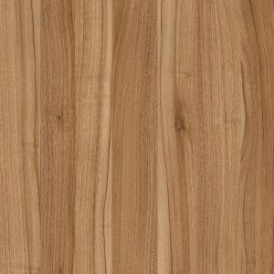 Caucasian Walnut
