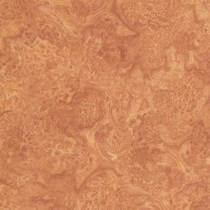 Elm Burl
