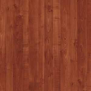 Akita Cherry