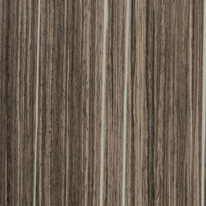 Wrangell Elm