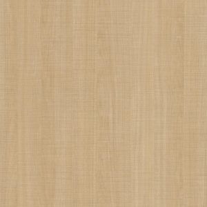 Tofino Maple 1