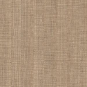 Tofino Maple 2