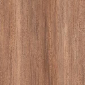 Seal Cove Oak 1