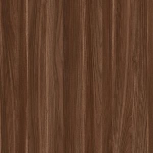 Coos Bay Walnut