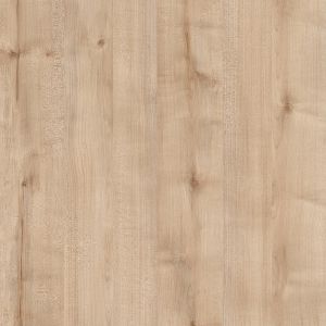 Elfin Cove Birch