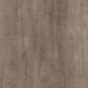 Bear Creek Chestnut 2