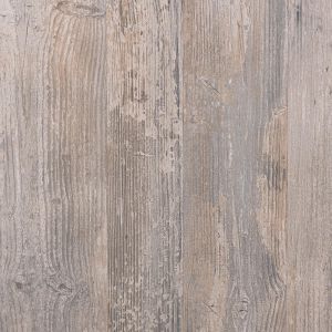 Borjomi Oak