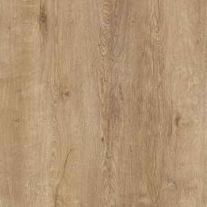 Cloverdale Oak