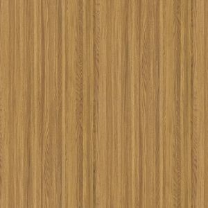 Mendoza Oak
