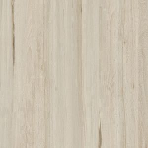 Mont Avic Beech